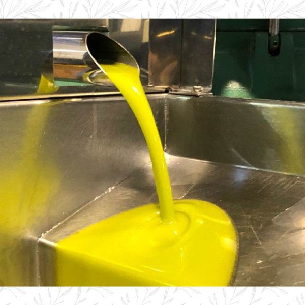 Imagen sobre ¿Por qué cambia el color del aceite de oliva?